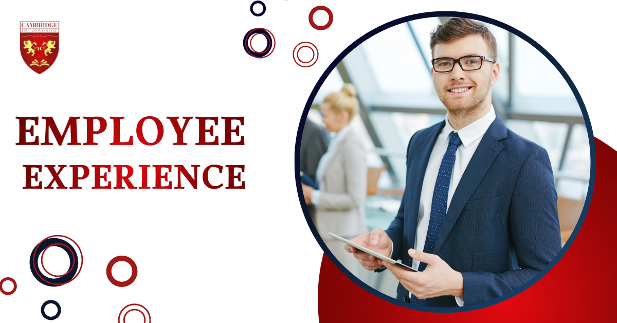 Employee experience  .png