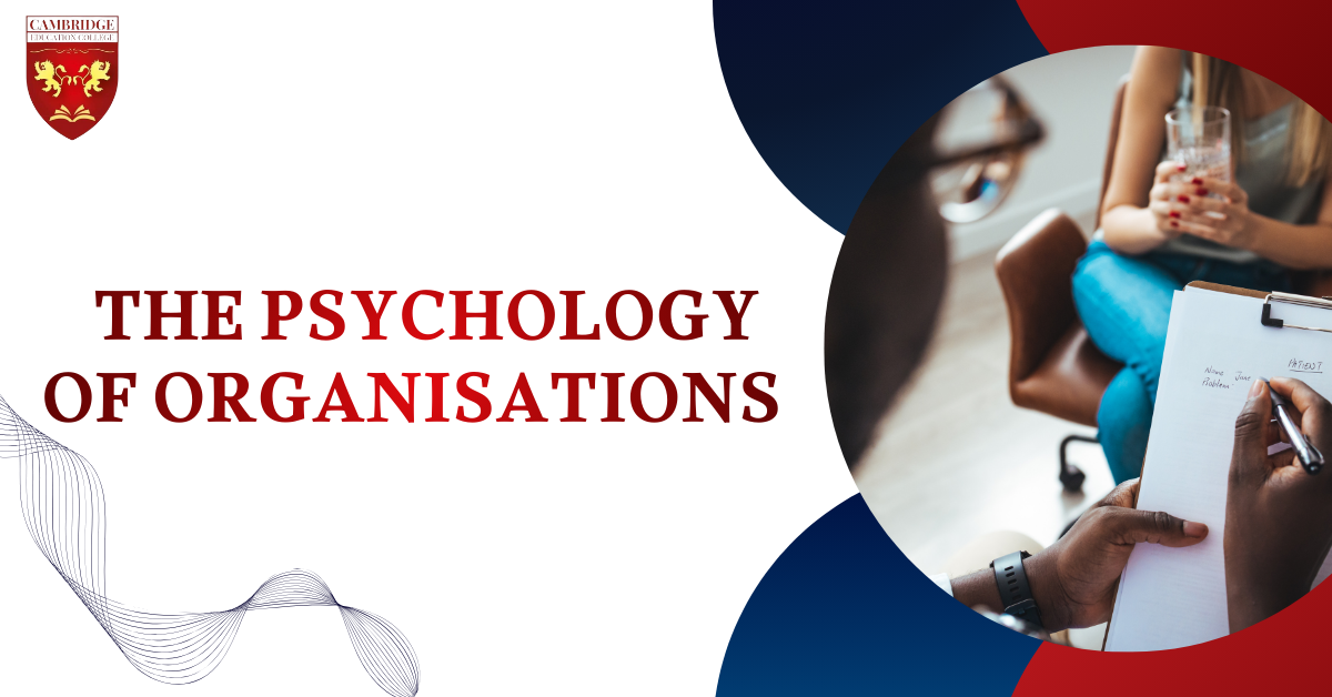 _The psychology of organisations .png