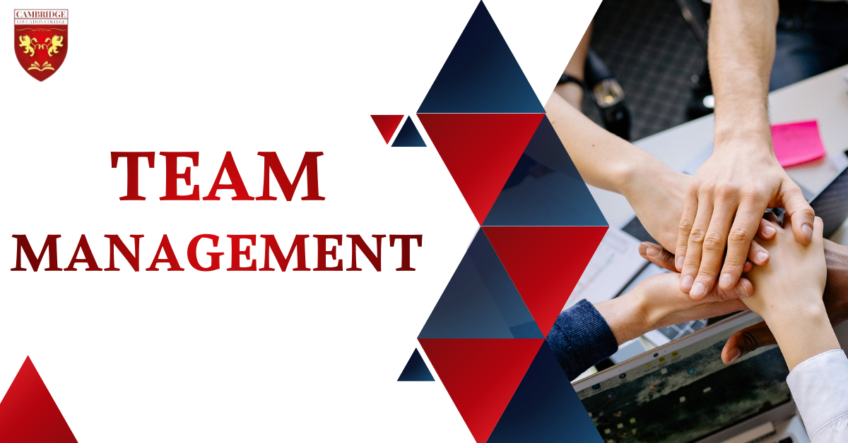 Team Management .png