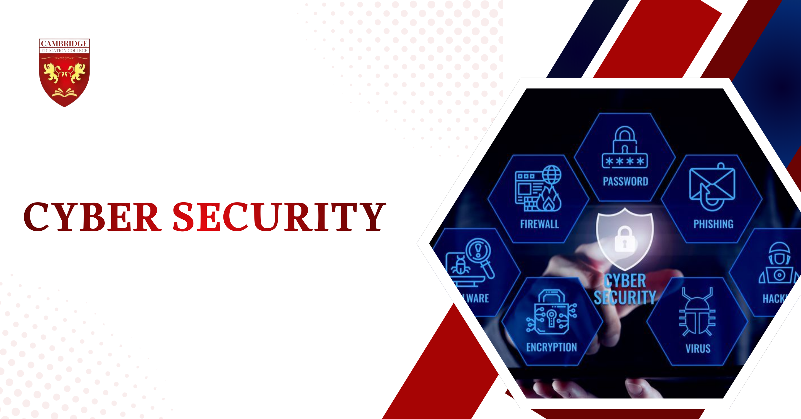 _Cyber Security .png